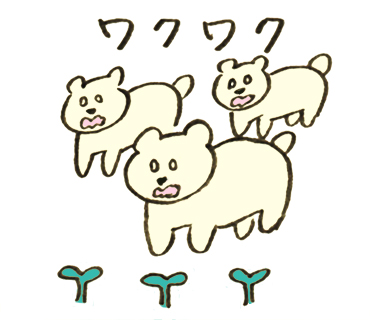 LINEクリエイターズスタンプ「くま続々出没」第３弾リリース！