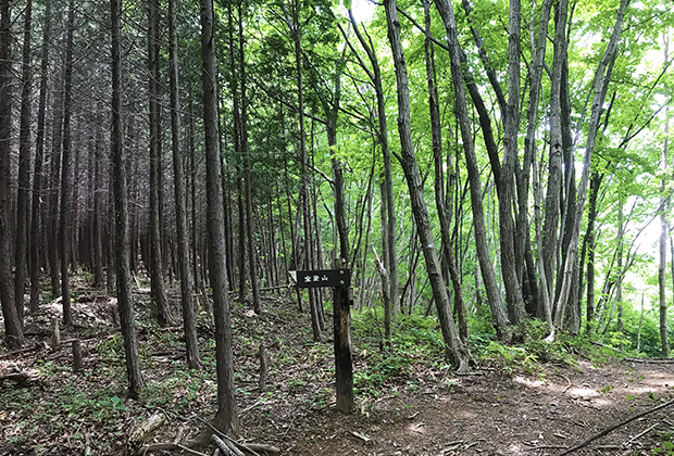 山部の活動